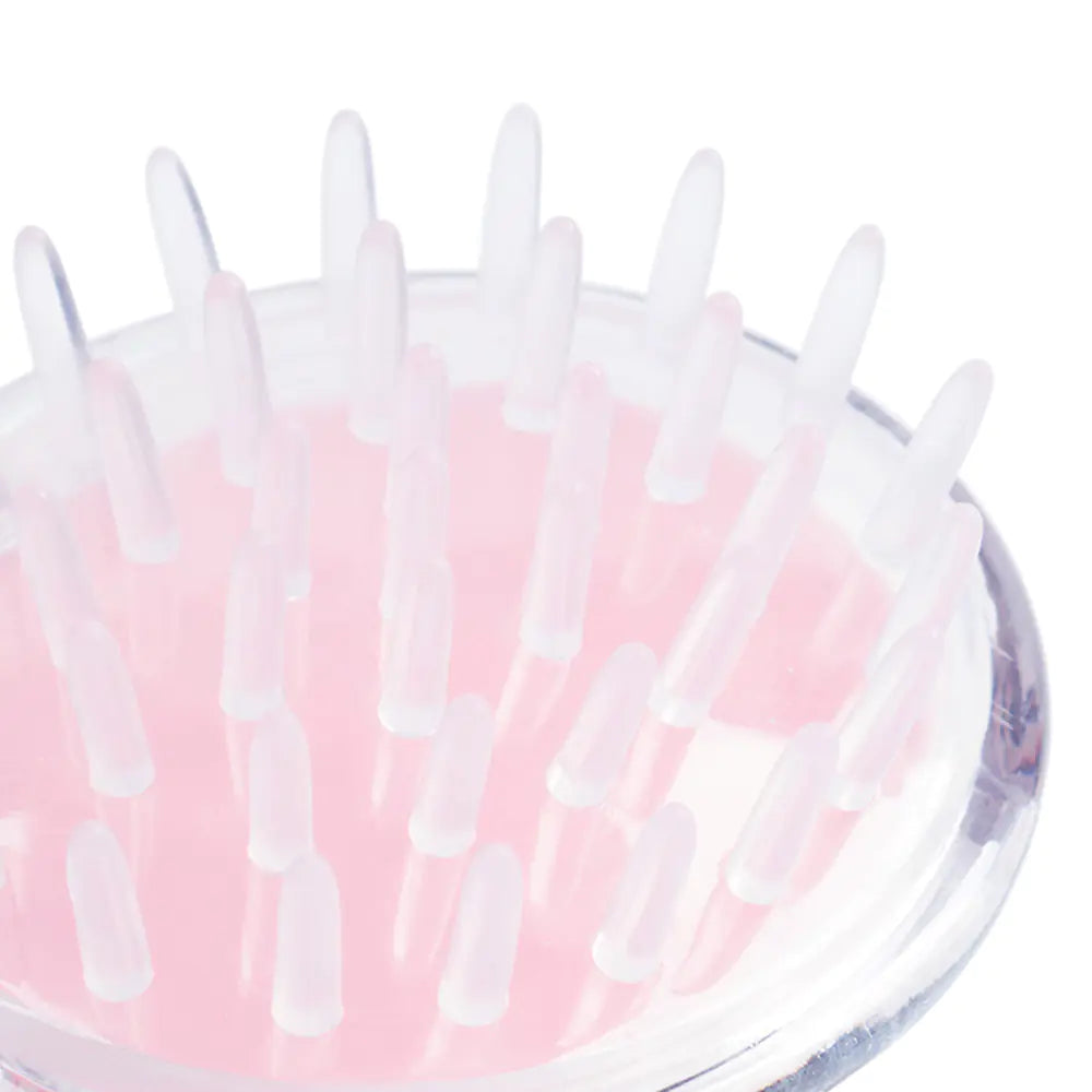 Shower Massage Comb, Air Cushion Hair Brush, Scalp Cleaner