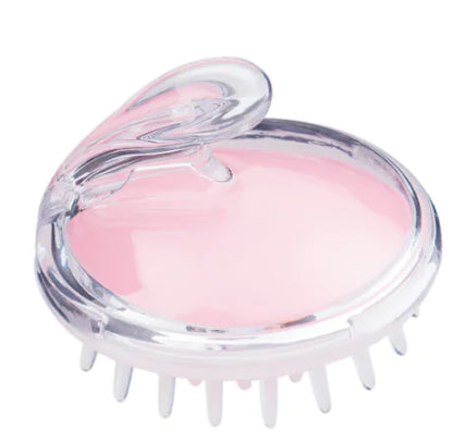 Shower Massage Comb, Air Cushion Hair Brush, Scalp Cleaner
